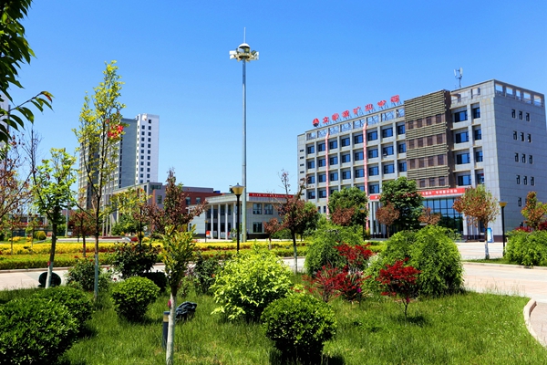 1647399955165670.jpg 4.JPG