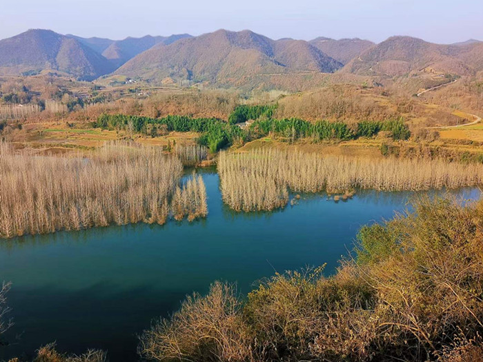 1672197584208595.jpg 5.jpg