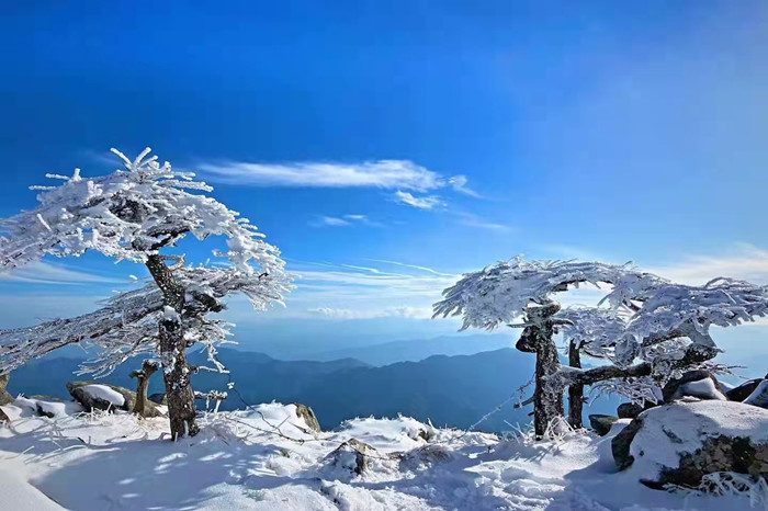 1672305492154276.jpg 2.jpg