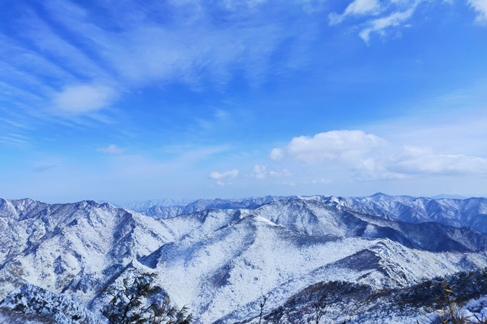 1672305501191283.jpg 4.jpg