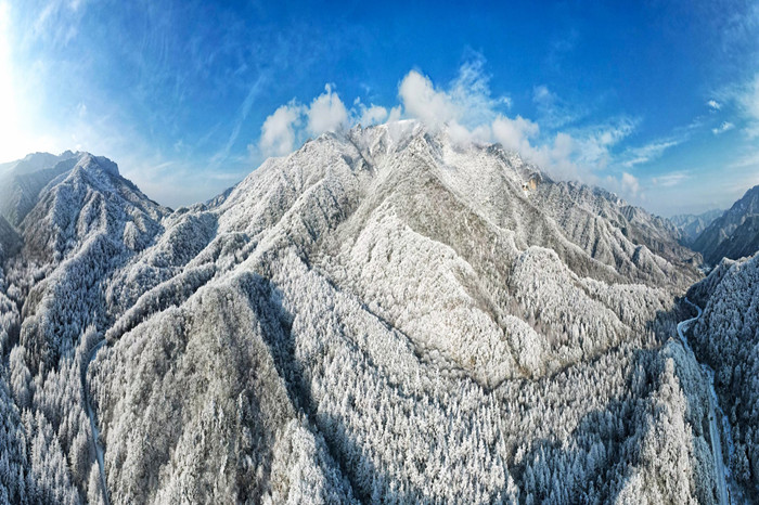 1672305527207761.jpg 8.jpg