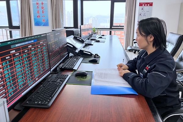 1677230077192949.jpg 负荷监控.JPG