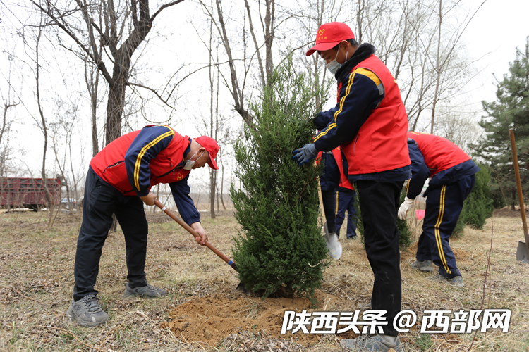 1678599870479973.png 3333.png