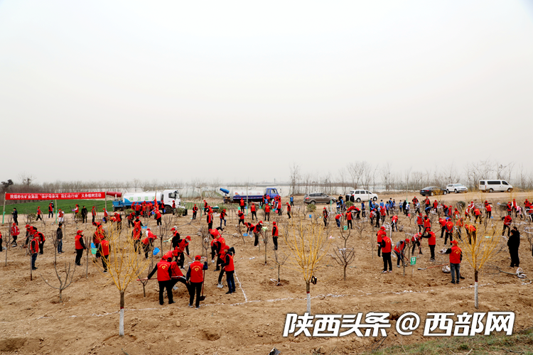 1678599913162026.png 0000png.png