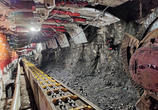 1680483538522901.jpg Åäͼ2_¸±±¾.jpg