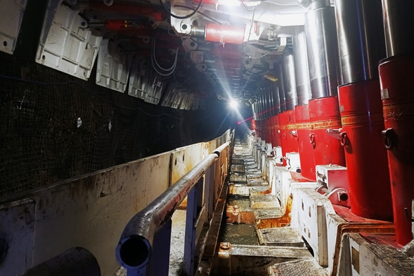 1690790417117067.jpg 8c5d97d596f979df069c034fb8f07d8_副本.jpg