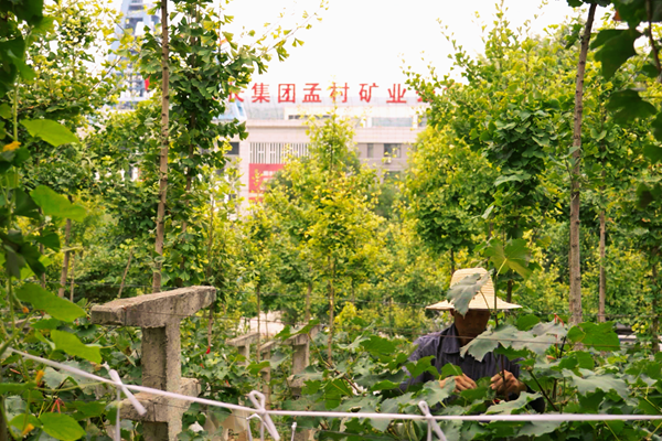 1692170439207893.png 图1_副本.png