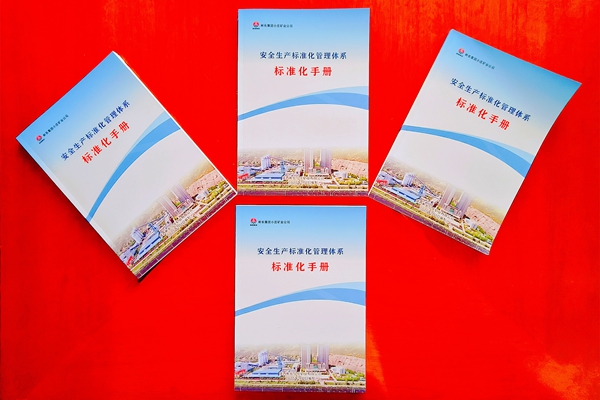 1755660481153834.jpg 1 标准化手册_副本.jpg